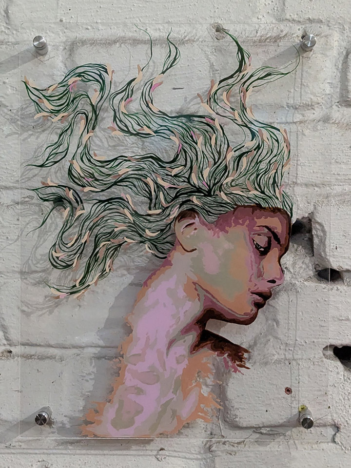 Medusa in Bloom